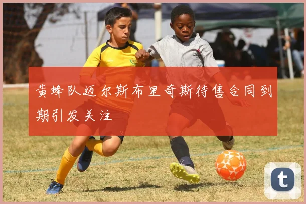 黄蜂队迈尔斯布里奇斯待售合同到期引发关注
